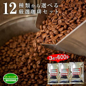 v600g 12_蓤Iׂ镟܁I3_Zbg R[q[ Zbg  蓤 ݔ ҂Îׂ͓X (coffee-0001)