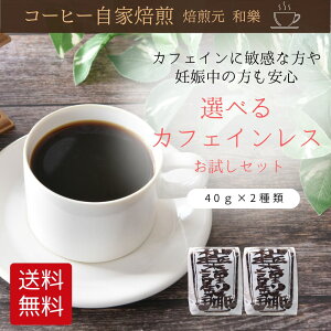 y\t^11z1000~|bL  R[q[ JtFCX fJtF Zbg X R[q[  40g×2 ݔ    S 