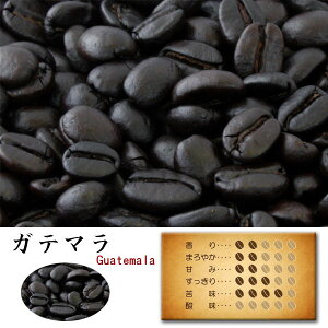 y122()9:59܂Ŏgő2000~N[|zR[q[ hbv R[q[ hbv R[q[ M[R[q[ Lv 蓤  R[q[ p Ke} [