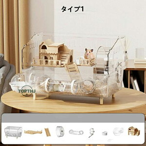 LN}nX^[ P[W  ^ LN} S[f WKAnX^[ ANP[W NA 45CM 2K OJ ㉺ 3`8CΉ  |₷ t@bVf