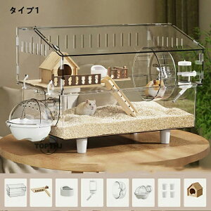 LN}nX^[ P[W  ^ LN}^S[f^WKAnX^[ ANP[W NA 45CM OJ ㉺  3`8CΉ  | ₷ t@bV