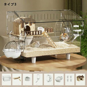 LN}nX^[ P[W  ^ LN}^S[f^WKAnX^[ ANP[W NA 45CM OJ ㉺  3`8CΉ  | ₷ t@bV