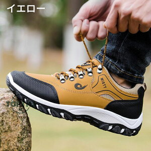 jOV[Y ^C JWAV[Y Xj[J[ C V[Y Y EH[LO YXj[J[ ʋ ʊw@ϖՐ h@WMOV[Y ꂢ L  