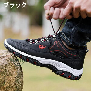 jOV[Y ^C JWAV[Y Xj[J[ C V[Y Y EH[LO YXj[J[ ʋ ʊw@ϖՐ h@WMOV[Y ꂢ L  