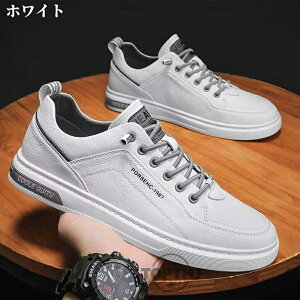 Xj[J[ C Y l YV[Y YXj[J[ ʋC y _炩 tbgV[Y X|[c  LC y C K ʊw ʋ Vv JWA