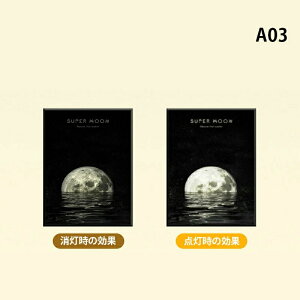 Xs[J[ USB Bluetooth5.3 u[gD[X Xs[J[  USBd L P[u CeA z y fUCtHgt[ j a LO v[g o^C  