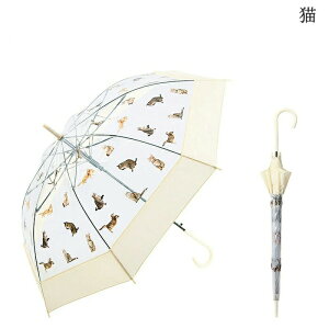 낱lR P JP 80cm fB[X 傫 킢  tHgWFjbN   ʐ^ L  8{ v y vg n OXt@Co[ v    