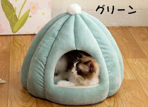 h[nEX ybgxbh h[^ xbh h[ nEX J{` ybgeg NbVt ybgpQ 7F@3TCYybgpiۉh 􂦂 ΍ ~  