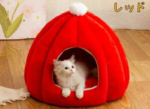 h[nEX ybgxbh h[^ xbh h[ nEX J{` ybgeg NbVt ybgpQ 7F@3TCYybgpiۉh 􂦂 ΍ ~  