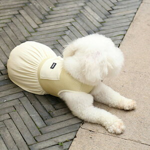 ppxXg pN[xXg  ėp L ^ ^ ^N[  ʋC ۗ܃|Pbgt  ڐG⊴ UVJbg  EȒP  ₷ N[xXg Ђ