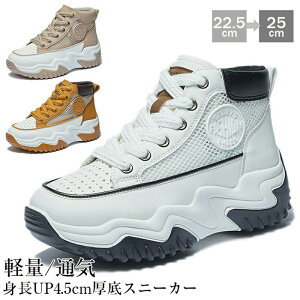 nCJbgXj[J[fB[X₷C4.5Z`bVXj[J[yʌyʋCȂXj[J[T_T_X|[cT_EH[LOV[Yꂢ