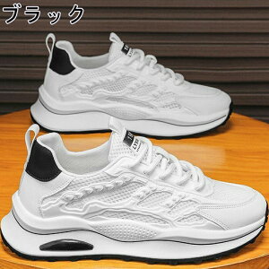 Xj[J[ Y fB[X X|[c   ʋC ؍ ₷ ₷ y y ~ JWA YXj[J[ jO EH[LO g[jOV