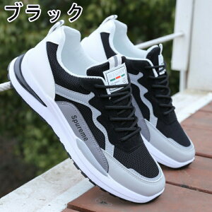 Xj[J[ Y fB[X X|[c   ʋC ؍ ₷ ₷ y y ~ JWA YXj[J[ jO EH[LO g[jOV