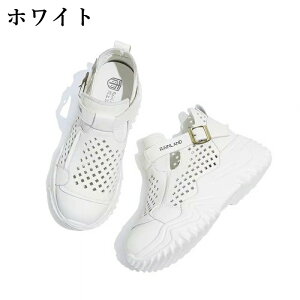 Xb|fB[X Xj[J[  6cmgAbv _bhXj[J[ bV VvJWAV[Yy _炩 ɂȂ  ʋ ʊw ig ̃Xj