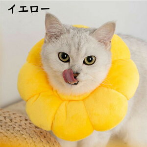 GUxXJ[ L  \tg p㕞 Jt pJ[ ybgp\tgGUxXJ[  