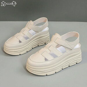 T_ fB[X T_ RtH[gT_  ~ X|T }WbNe[v X|[c fB[XV[Y y AEghA ₷ L RtH[gT_ q[