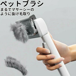 �Z��~���т܂Ō� �L �u���V �y�b�g �y�b�g�u���V �y�b�g�p�u���V �y�b�g�p�i �O���[�~���O�u���V �R�[�� ������ �ыʎ�� ���_�� �y�b�g�R�[�� �X�e�����X�}�T�[�V�[