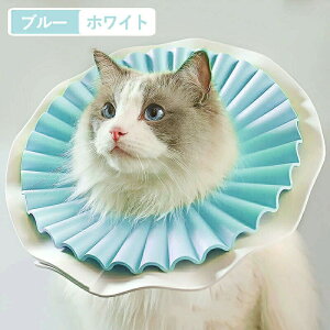 GUxXJ[ ybgp\tgGUxXJ[  Ck L lR p ȒPy y _炩f pi p  p̏ی p Lp p㒅/EFA r߂Ȃ ޖh