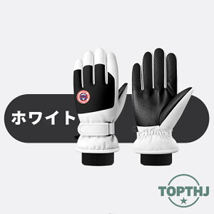  O[u N h ~p X}[gtH O[u ~ Y fB[X PU U[ oCNO[u _炩 g X}z ew lwΉ H ] ʋ ʊw ^