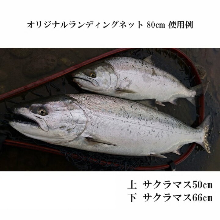 楽天市場】ランディングネット 80cm ストレート グリーン ワイズ  