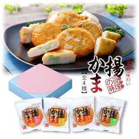 【 揚かま 4枚 】小箱・小袋シリーズ 馬上かまぼこ店 さくらえび きんぴら れんこん ねぎしょうが かまぼこ 蒲鉾 詰合せ ギフト プレゼント 東北 宮城 仙台 亘理 練り物 お取り寄せ おつまみ かまぼこセット かまぼこ詰め合わせ 国産かまぼこ 美味しいギフト ご当地おつまみ