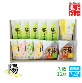 【 陽 よう 】 送料込み 馬上かまぼこ店 通販 かまぼこ 蒲鉾 詰合せ えび しそ チーズ 揚かま ねぎ きんぴら ごもく菜 ギフト プレゼント お歳暮 御年賀 東北 宮城 仙台 亘理 老舗 練り物 笹かまぼこ お取り寄せ 美味しいかまぼこ 送料無料 かまぼこセット 美味しいギフト