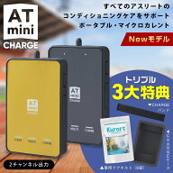 ★クーポン割★3大特典(4290円相当) 楽天1位 ATmini2 CHARGE 家庭用 低周波治療器 簡単操作 マイクロカレ…