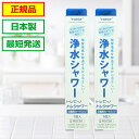トレシャワー 交換カートリッジ★最短発送★【2個セット】メーカー正規品 日本製 RSC51 RS54 RS53 RS52 RS51 対応 東…