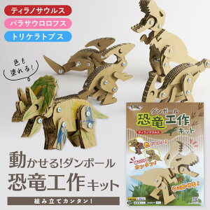 工作キット 恐竜 おもちゃ 小学生 ダンボール ダンボール恐竜 木製立体パズル 組み立て式立体パズル ティラノサウルス 知育玩具 室内遊び 木製クラフト 子供 子供向け 初心者向け 夏休み 自
