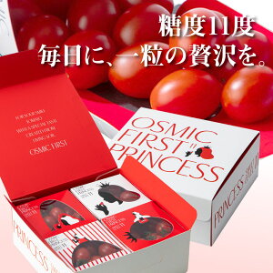 ���i�摜