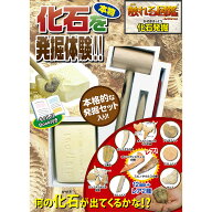 触れる図鑑 化石発掘 【TVで話題の人気商品】 | 触れる図鑑コレクション さわれる図鑑 化石 発掘 夏休み …