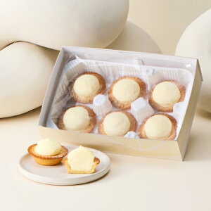 ~Mtg ΕyICzt}[W^g6P BOX qIWi 6r BAKE CHEESE TARTyz2025  v`Mtg z  v[g  yY