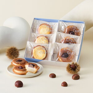 ~Mtg Ε `[Y^g 6P BOXqIWi`[Y^g 3Eu`[Y^g 3r BAKE CHEESE TARTyz2025  v`Mtg  v[g  yY َq