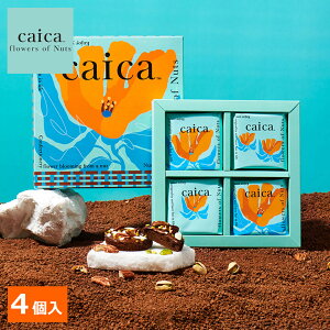 Mtg HMtg nEB VRuEP[L 4 ibĉَq caicayz2025  v`Mtg z  v[g  yY