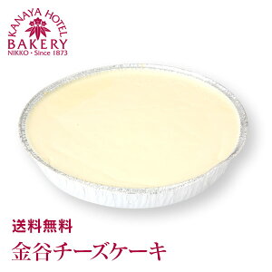 yzJ`[YP[LmⓀn | I_̉ƒōĂVs󂯌phA^Cv`[YP[LBViLȃNbL[x[XɃN[`[Y