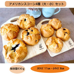 AJXR[4i~Eu[x[E`R[gEv[jEZbg  sgp  Ⓚp R xCN p eB[^C Mtg 蕨 x[J