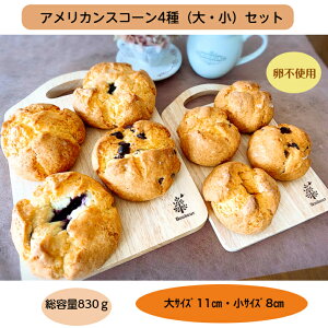 AJXR[4i~Eu[x[E`R[gEv[jEZbg  sgp  Ⓚp R xCN p eB[^C Mtg 蕨 x[J