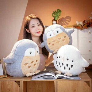 45cm �ʂ������ �S2�J���[ owl �ӂ��낤 �t�N���E �������� ���� ���킢�� �ޏ��� �ӂ�ӂ�Ŗ������ �_�炩 �M�t�g �S�n���� ������ �N�b�V���� �C���e���A ���� �q�� �v���[���g �N���X�}
