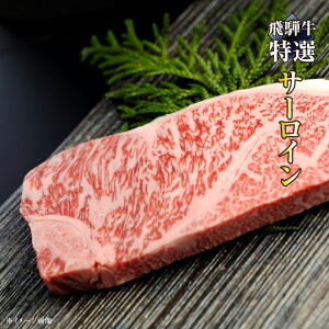 yA4EA5z ˋiIjT[C Xe[L [200g^] i јa A4N A5N j