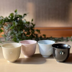 Jbv v X^bLO q Ɩp e H@ I[u dqW 킢 [[ { XC[c H   aH  JtF yXC[cJbvz06015