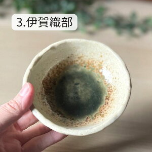 ې   aH Z {E VvJtF   {   Ƃ񂷂 킢 Mtg 蕪M H@ dqW 攫 y^^^Ƃ񂷂z03017