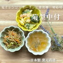 ボウル 食器 カフェ おしゃれ 小鉢 和食器 美濃焼 サラダボウル ...