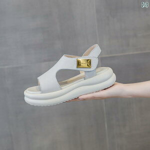 r[` T_ ₷ fB[X v  \tg\[  ɂ \  Vv  JWA t@bV AE^[ g₷ ֗ o A[eBt@Ng 