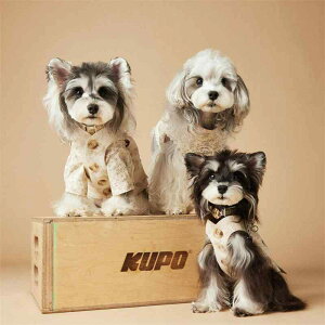 ybgEFA hbOEFA  ߑ ptH[}X t@bV JWA RXv 