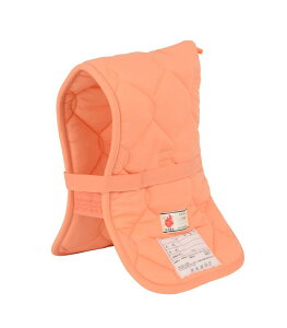 {hFi hГ DK^CvIW wZwNȏ 43×27cm 90011