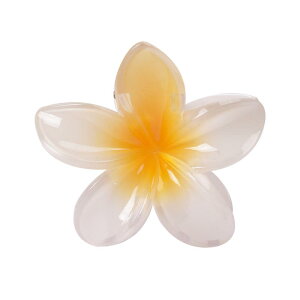 GKg wAAW i ^  wAs wANbv vA wA Nbv  G~ WFC Nbv  wbh  2024 