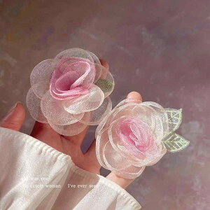 wAAW ANZg fB[X l킢 ؍ l  wAs bV t[[X wA s fB[X 2024 I z JmnV Nbv TCh wbh WG[