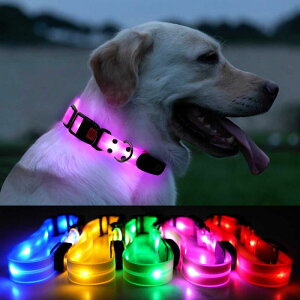 p ybgp   LEDCg J[  U  S΍ F ^ ^ v ϋv   lbNX