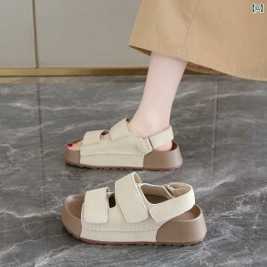 XChT_Oo ėp ʋC tH[ JWA W[ r[`  킢 Y t@bV fB[X L x[W J[L