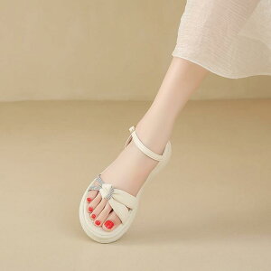 XChT_Oo ėp ʋC tH[ JWA W[ r[`  킢 Y t@bV fB[X Dwp CG[ x[W